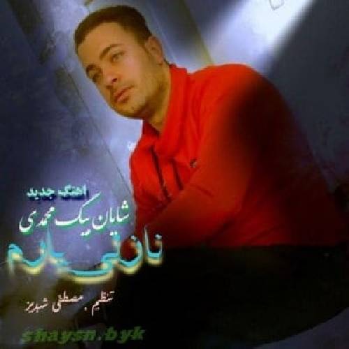 دانلود آهنگ نازلی یارم  شایان بیگ محمدی